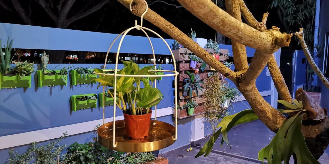 Oneriimba Private Pool & Garden Residence 新山 外观 照片